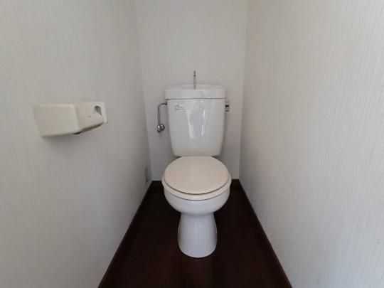 �y���̑��z�@�g�C��