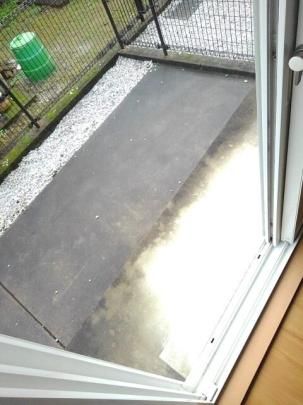 �y���̑��z�@�o���R�j�[