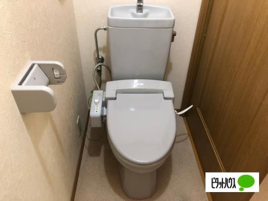 �y���̑��z�@�g�C��