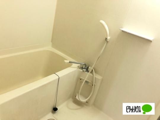 �y���̑��z�@�o�X�^�V�����[