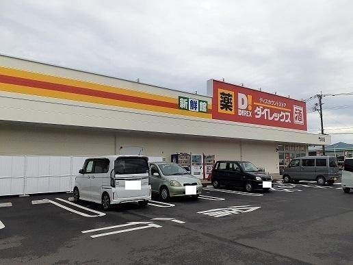 �y���Ӂz�@�_�C���b�N�X���X�F900m