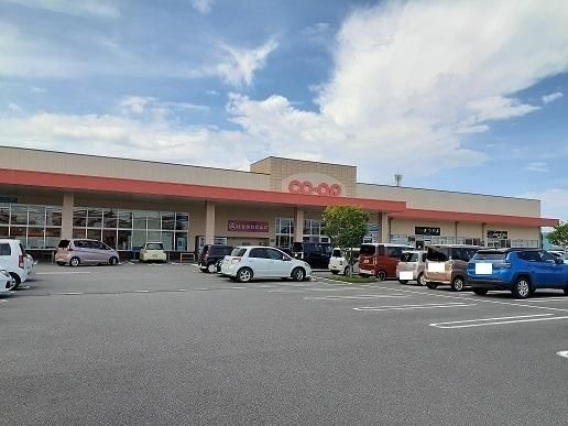 �y���Ӂz�@�R�[�v�݂₴���������X�F550m