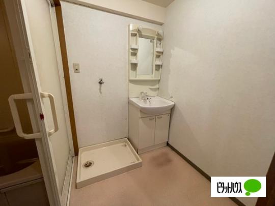 �y���̑��z�@���ʏ�