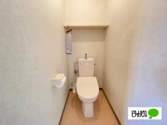 �y���̑��z�@�g�C��