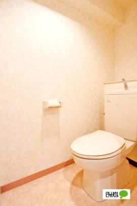 �y���̑��z�@�g�C��