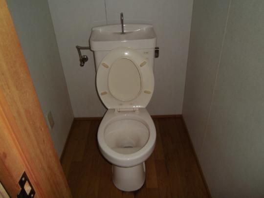 �y���̑��z�@�g�C��