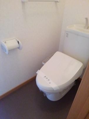 �y���̑��z�@�g�C��
