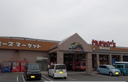 �y���Ӂz�@�}�~�[�Y�}�[�P�b�g�F450m