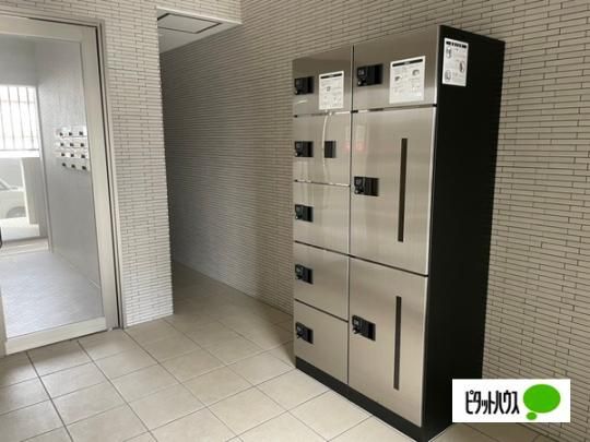 �y�����O�ρz�@���r�[