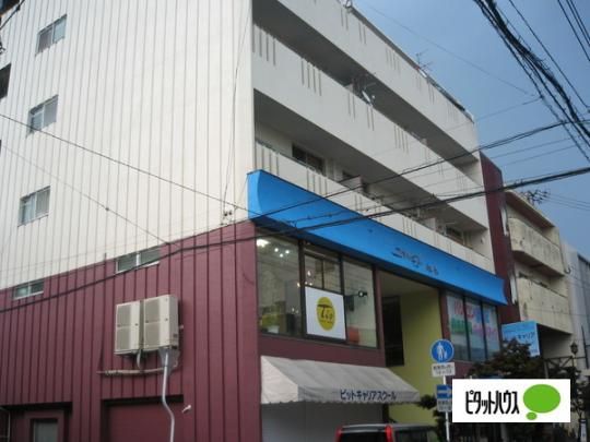 �y�����O�ρz�@�G���g�����X