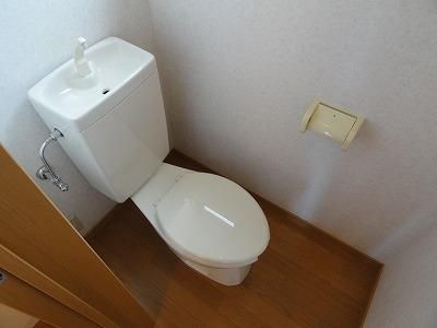 �y���̑��z�@�g�C��