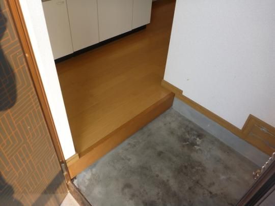 �y���̑��z�@�ʂ̕����̎ʐ^�ł��B