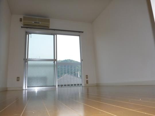 �y���̑��z�@�ʂ̕����̎ʐ^�ł��B