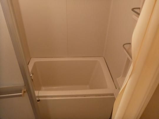 �y���̑��z�@�ʂ̕����̎ʐ^�ł��B