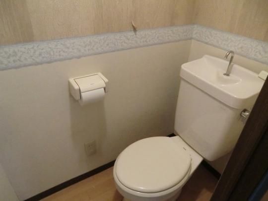 �y���̑��z�@�g�C��