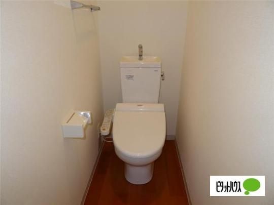 �y���̑��z�@�g�C��