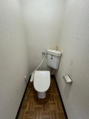 �y���̑��z�@�g�C��