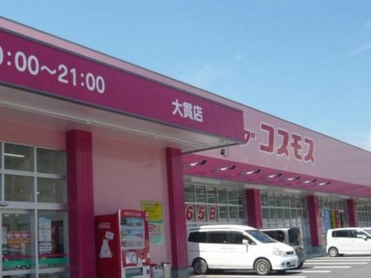 �y���Ӂz�@�f�B�X�J�E���g�h���b�O�R�X���X��F1205m