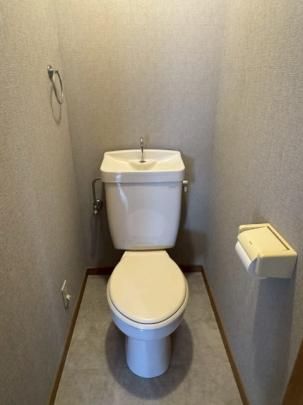 �y���̑��z�@�g�C��