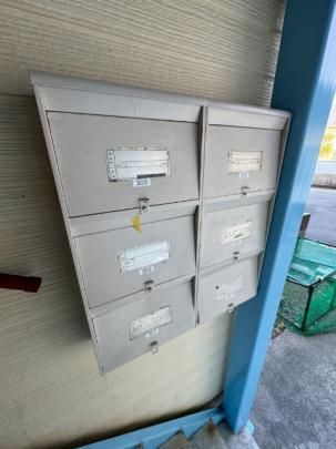 �y�����O�ρz�@�G���g�����X