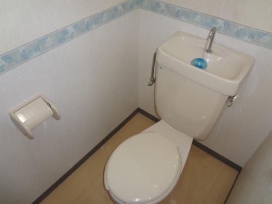 �y���̑��z�@�g�C��