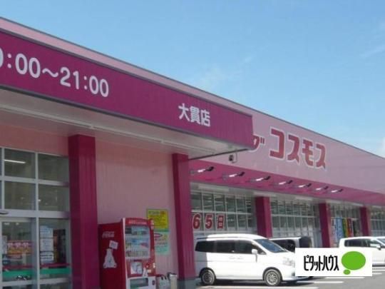 �y���Ӂz�@�f�B�X�J�E���g�h���b�O�R�X���X��F616m