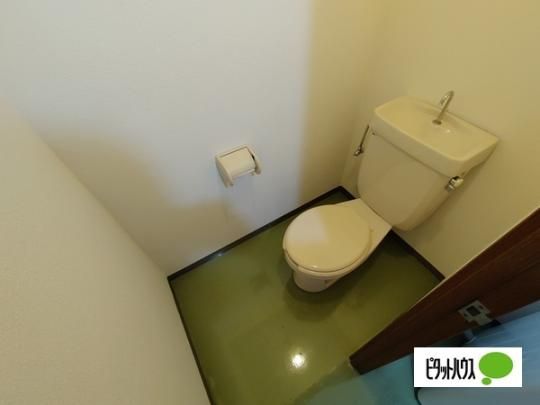 �y���̑��z�@�g�C��