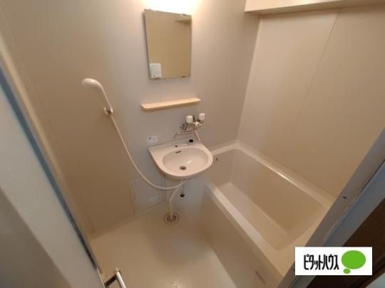 �y���̑��z�@����