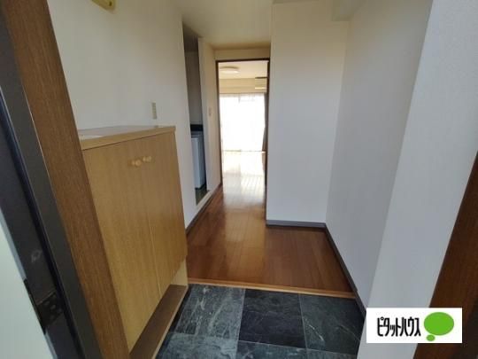 �y���̑��z�@����