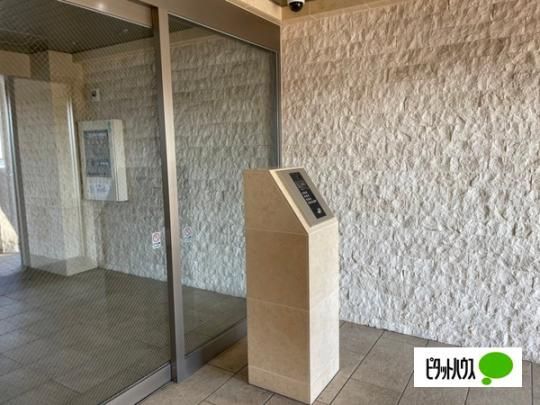 �y�����O�ρz�@�G���g�����X