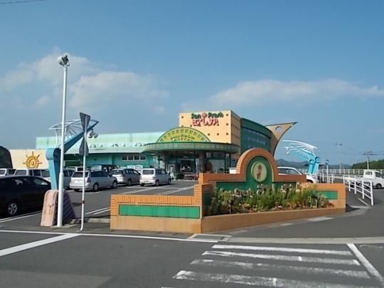 �y���Ӂz�@�T���t���b�V���ނ����M�̖ؓc�X�F2300m