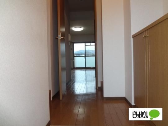 �y���̑��z�@����