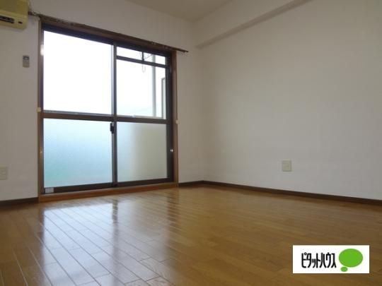 �y���̑��z�@���r���O