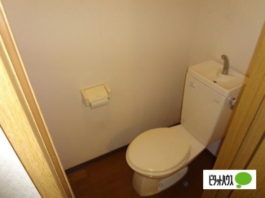 �y���̑��z�@�g�C��