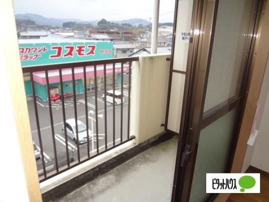 �y���̑��z�@�o���R�j�[