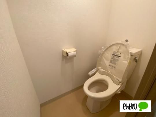 �y���̑��z�@�g�C��