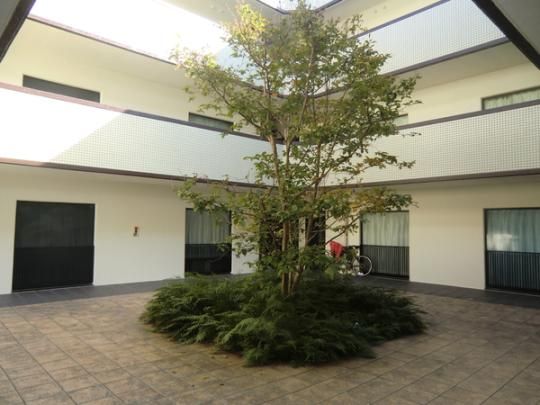 �y�����O�ρz�@���r�[