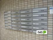 �y�����O�ρz�@���r�[