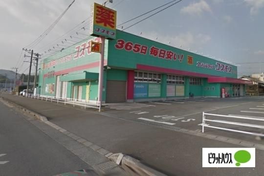 �y���Ӂz�@�f�B�X�J�E���g�h���b�O�R�X���X��F376m