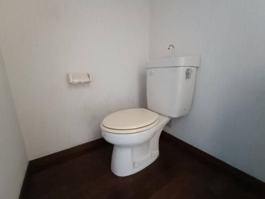 �y���̑��z�@�g�C��