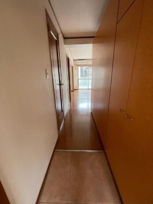 �y���̑��z�@����