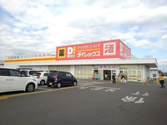 �y���Ӂz�@�_�C���b�N�X�����X�F24m