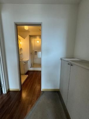 �y���̑��z�@����