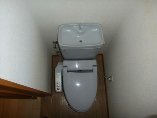 �y���̑��z�@�g�C��