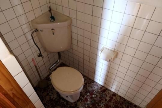 �y���̑��z�@�g�C��