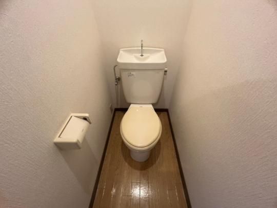 �y���̑��z�@�g�C��