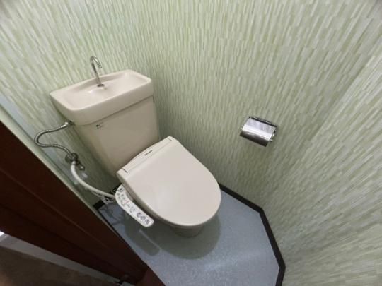 �y���̑��z�@�g�C��