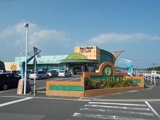 �y���Ӂz�@�T���t���b�V���ނ����M�̖ؓc�X�F1500m