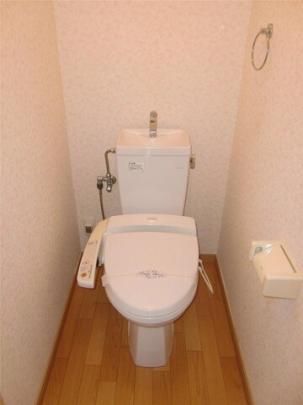 �y���̑��z�@�g�C��